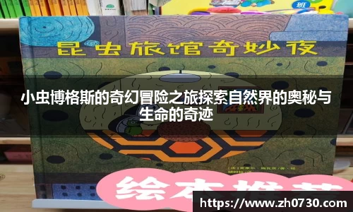 球速体育官方网址