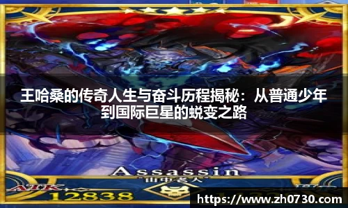 球速体育全站
