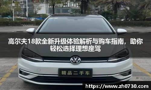 球速体育网站