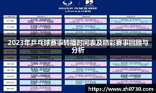 球速体育网站